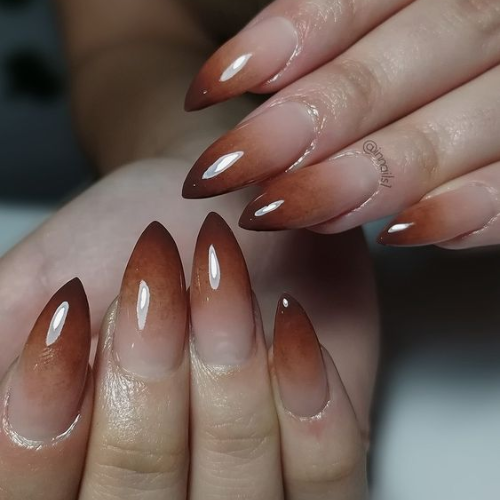 Brown Chrome Nails